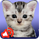 Cat sounds icon