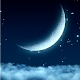 Magic Night Live Wallpaper Download on Windows