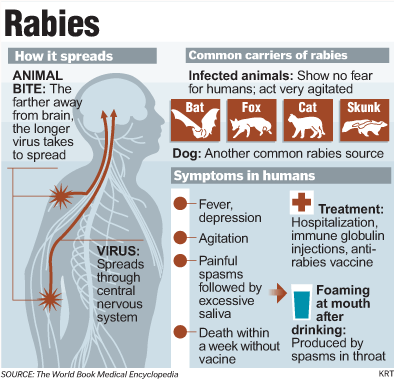 http://www.californiadogowners.org/uploads/Image/0206_rabies_394x379.gif