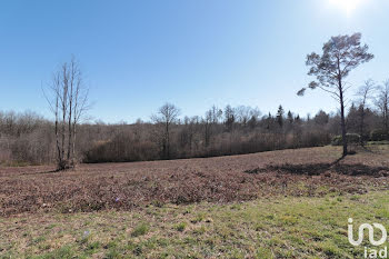 terrain à Royères (87)