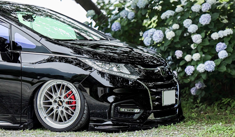 オデッセイの紫陽花撮ってみた・梅雨の晴れ間・みんなのセンターキャップが見たい・BBS LM・ACC airrunnerに関するカスタム事例の投稿画像2枚目