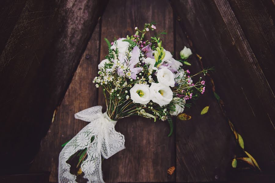 Fotografo di matrimoni Anna Alekseenko (alekseenko). Foto del 28 ottobre 2014