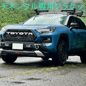 RAV4 MXAA54