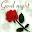 Good Night Flowers Download on Windows