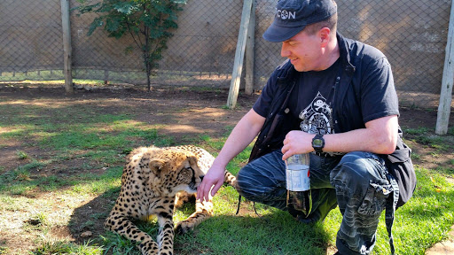 Lion Park South Africa 2015