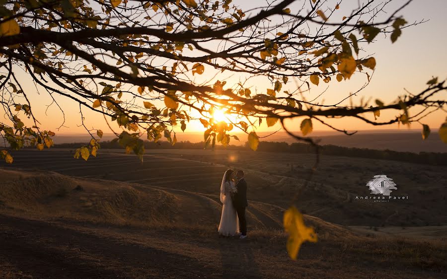 Fotografo di matrimoni Andreea Pavel (andreeapavel). Foto del 4 novembre 2018