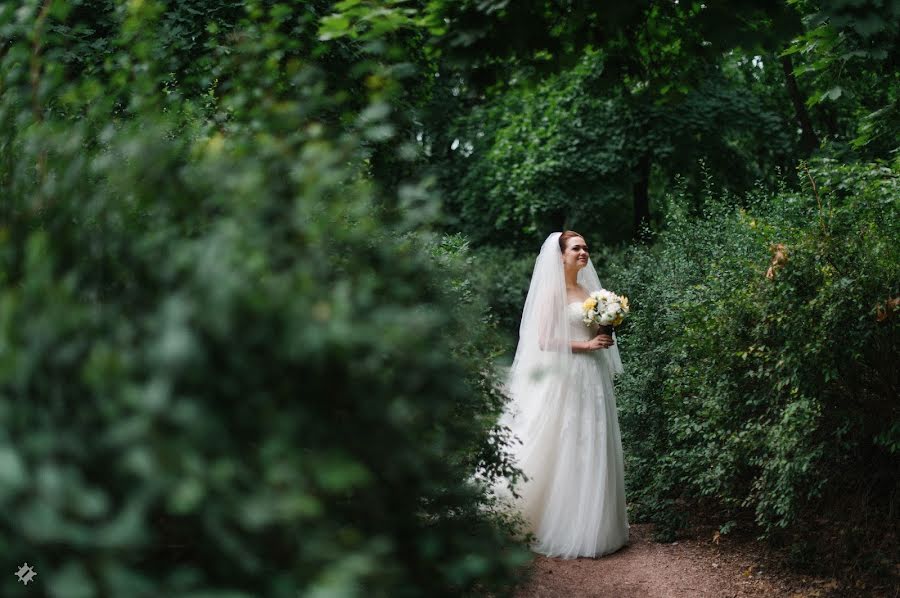 Fotógrafo de casamento Dmitriy Zubkov (zubkov). Foto de 10 de agosto 2014