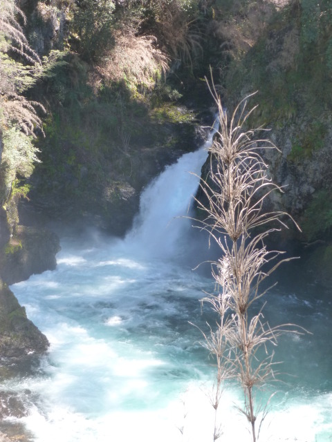 PATAGONIA - BARILOCHE: Cascada de los Alerces y Cerro Tronador - ARGENTINA INFINITA (8)