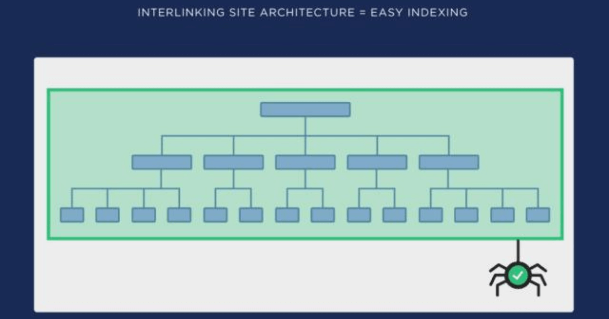 website architecture showing the hierarchy of the web pages from the home page and a spider bot at the end.