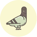 pigeon - send to telegram