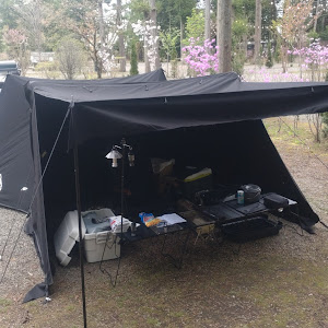 カローラフィールダー NKE165G