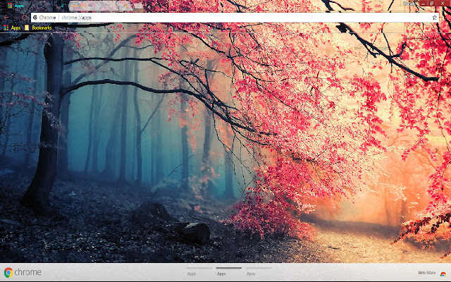 Fall Fog Forest Mud Path chrome extension