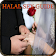 Halal Sex Guide-English icon