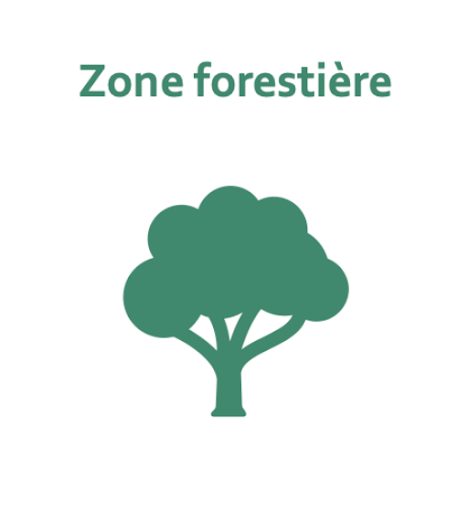 Zone forestière