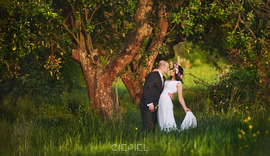 Fotograful de nuntă Grzegorz Ciepiel (ciepiel). Fotografia din 26 iulie 2016