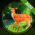 Wild Hunting 3D : Animals Shooting New Games 2020 1.2