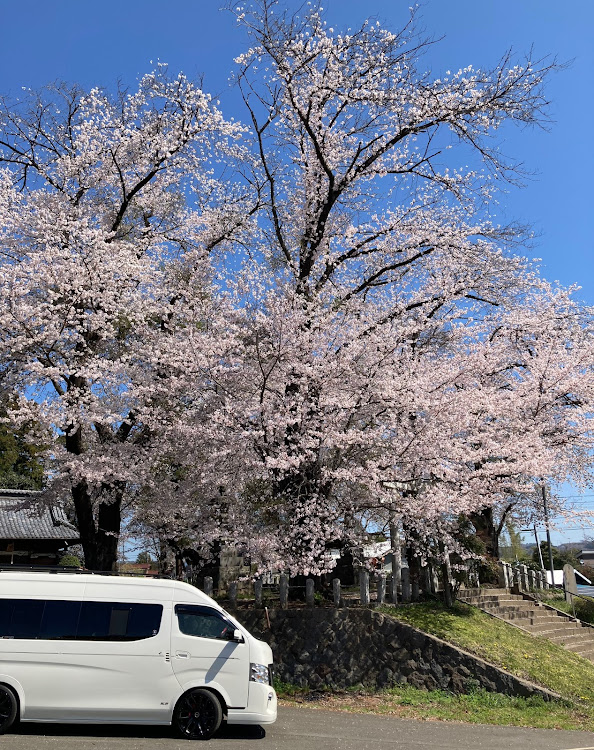 の投稿画像3枚目