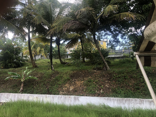 Villa 4
