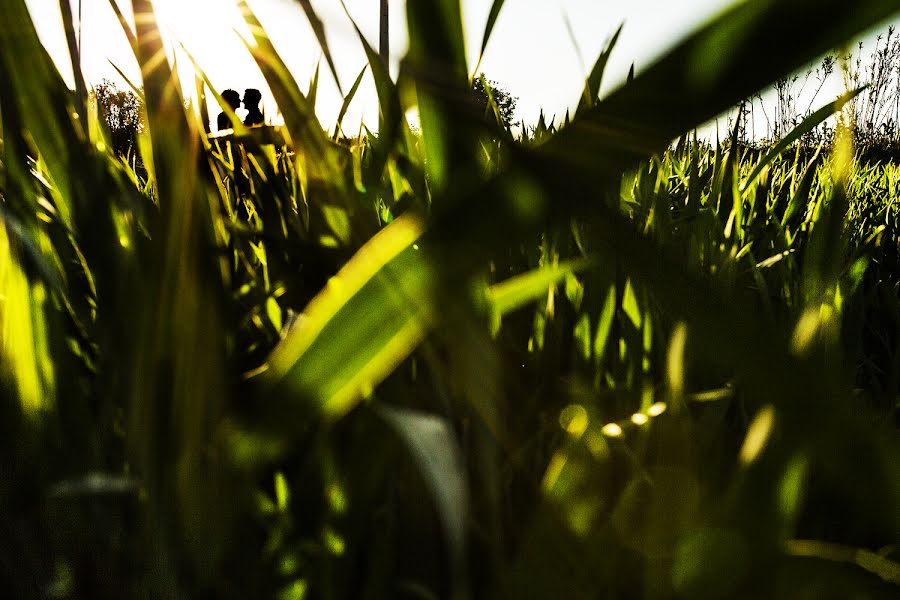 Svadobný fotograf Carlos Santanatalia (santanatalia). Fotografia publikovaná 17. apríla 2017