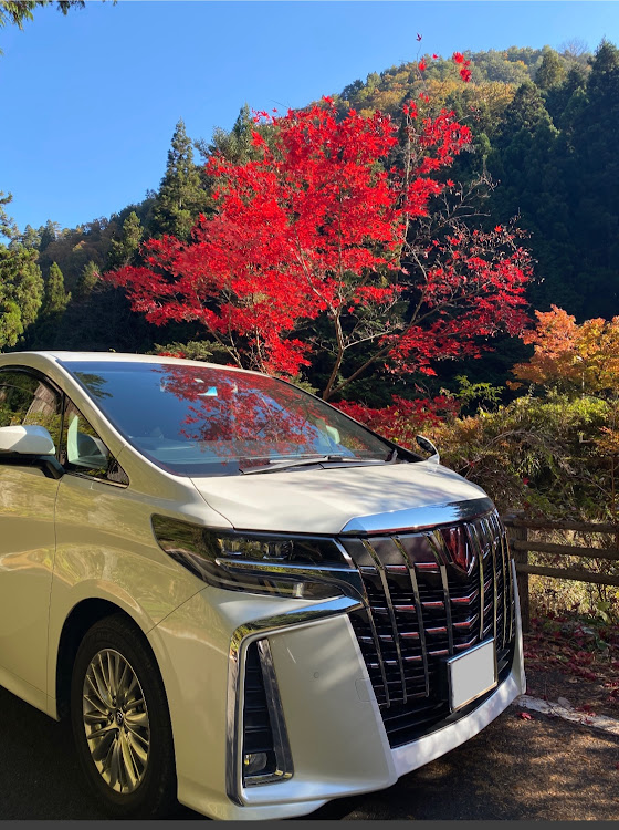アルファードの紅葉めぐりに関するカスタム事例の投稿画像1枚目