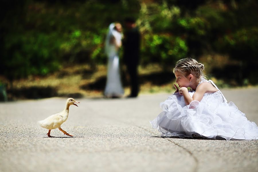 Fotografer pernikahan Lana Dovbenko (lanastunning). Foto tanggal 6 November 2014