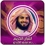 رعد محمد الكردي l بدون انترنت Apk