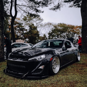 86 ZN6