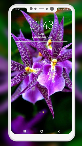 Orchid Wallpaper