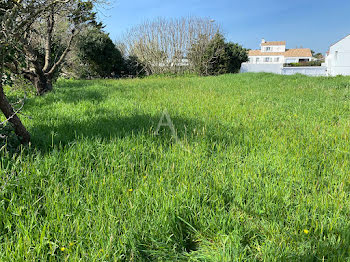 terrain à Brem-sur-Mer (85)