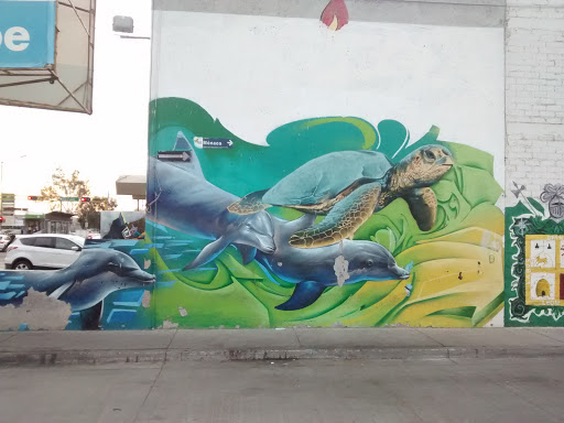 Mural Criaturas Marinas