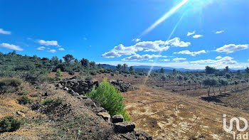 terrain à Villesèque-des-Corbières (11)