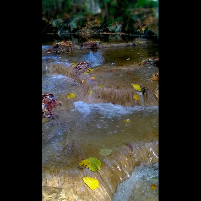 #water #leaves #autumn #nature #pagnacco #doidis   di moon_bow