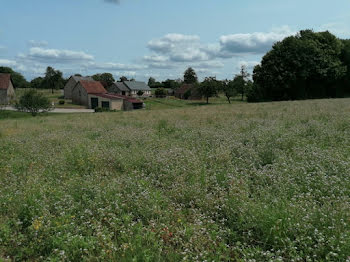 terrain à Dompierre (61)