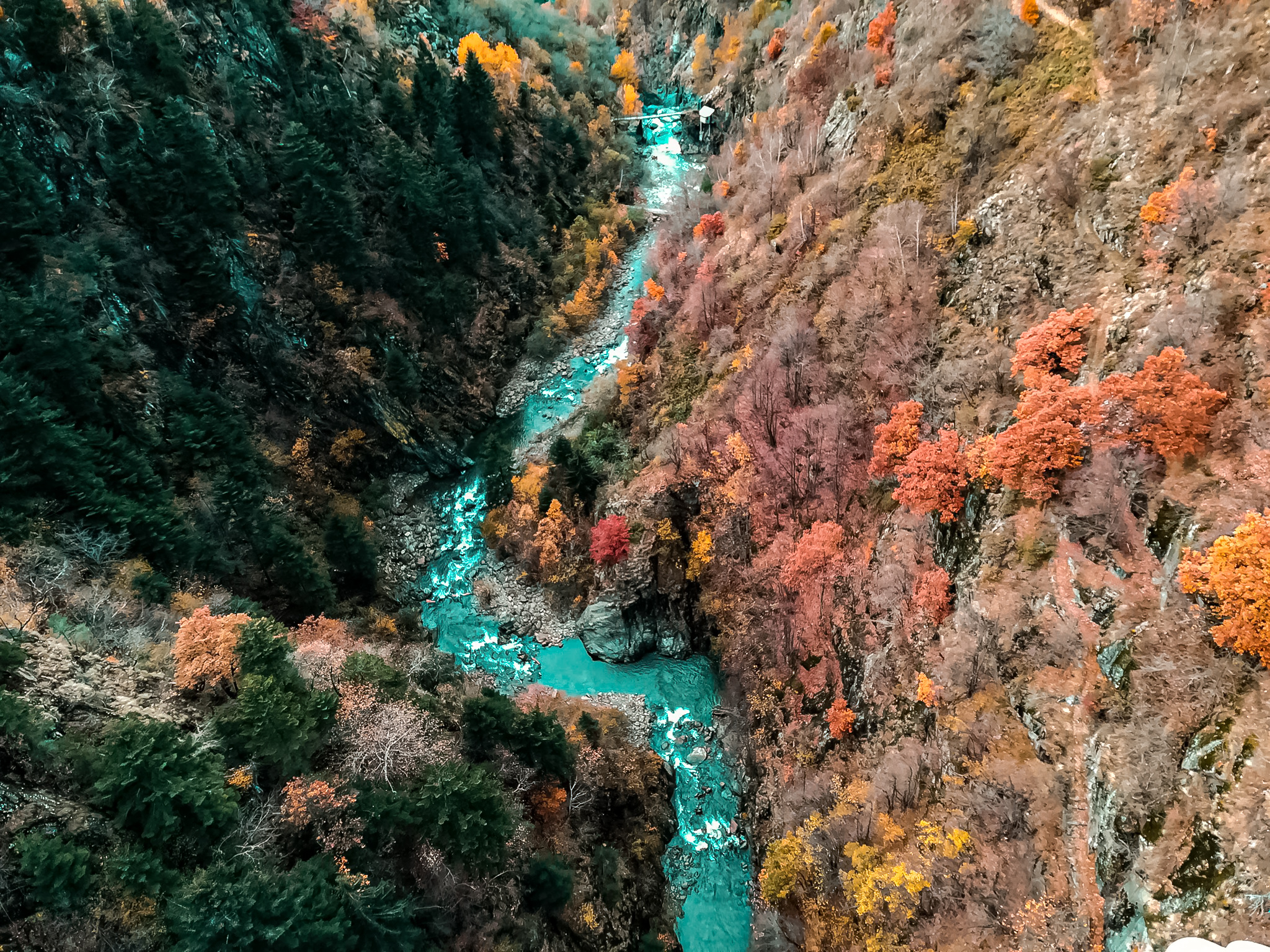 Ponte tibetano nel Cielo  di FEDERICAMOLTENI