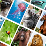 Cover Image of Herunterladen Picture Quiz: Animals 1.1.2 APK