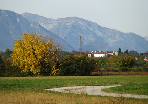 Giallo autunno di obbiettiva