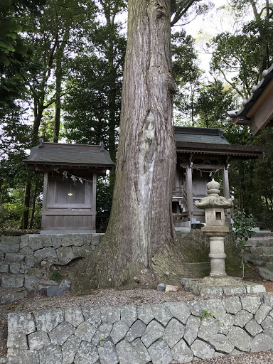 Shirahige Shrine