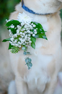 Fotografo di matrimoni Ilona Németh (nemethila). Foto del 3 maggio 2022