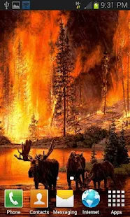 Forest Fire Live Wallpaper(圖2)-速報App