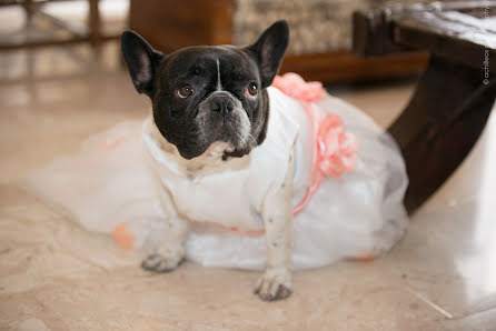 Fotografo di matrimoni Constantinos Achilleos (achilleos). Foto del 24 giugno 2015