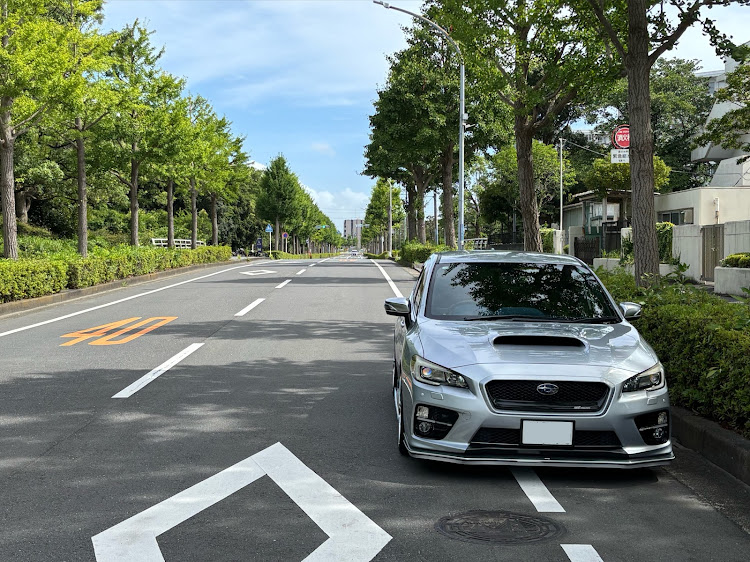 WRX S4のツバメの雛・ネコソギドライクロス・「夏越の祓（なごしのはらえ）」・久しぶりに関するカスタム事例の投稿画像2枚目
