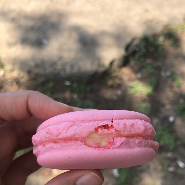 Strawberries & cream macaron. It had homemade jam inside!!