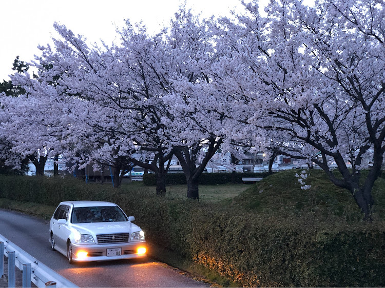 の投稿画像1枚目