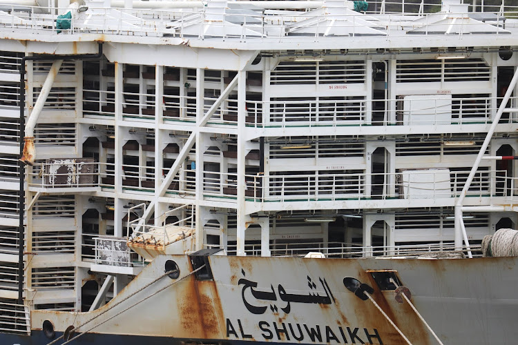 The empty bays where the sheep will be kept during their journey to Kuwait.