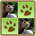 Wild Animals Memory Game 1.1.1