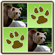 Wild Animals Memory Game