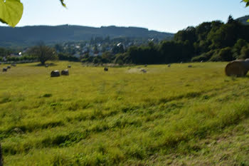 terrain à Saint-Sulpice-Laurière (87)