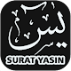 Download Surat Yasin Full Offline Mp3 For PC Windows and Mac 1.0