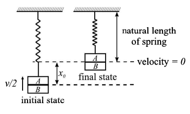 Solution Image