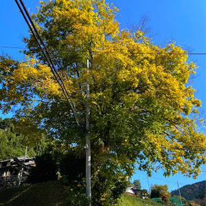 ロードスター NB6C